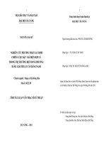 Nghiên cứu phương pháp xác định chiến lược đặt giá điện hợp lý trong thị trường điện song phương bằng giải thuật cân bằng NASH