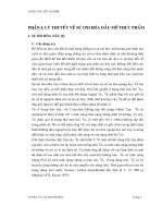 Luận văn nghiên cứu bảo quản dầu mỡ bằng chất chống oxy hóa tự nhiên 