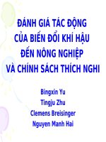 THUYẾT TRÌNH ĐÁNH GIÁ TÁC ĐỘNG  CỦA BIẾN ĐỔI KHÍ HẬU  ĐẾN NÔNG NGHIỆP  VÀ CHÍNH SÁCH THÍCH NGHI