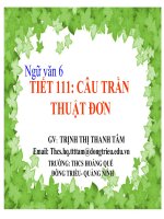 Bài giảng CÂU TRẦN THUẬT ĐƠN –ngữ văn 6