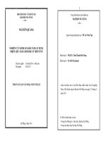 Nghiên cứu đánh giá khả năng sử dụng nhiên liệu xăng sinh học E5 trên ô tô