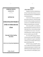 Mô hình giá trị chịu rủi ro trong đầu tư cổ phiếu tại thị trường chứng khoán Việt Nam