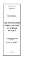 Nghiên cứu tính toán điện trường của đường dây truyền tải điện sử dụng cột nhiều mạch nhiều cấp điện áp
