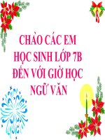 Chuyển Đổi Câu Chủ Động Thành Câu Bị Động –Ngữ Văn Lớp 7