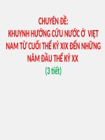 Chuyên Đề Khuynh Hướng Cứu Nước Ở  Việt Nam Từ Cuối Thế Kỷ XĨ Đến Những Năm Đầu Thế Kỷ XX