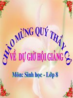 Tiet 52 - Sinh 8 Bai 50 Ve sinh mat