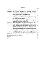 LUẬN văn THẠC sĩ   PHÁT TRIỂN NÔNG NGHIỆP THEO HƯỚNG bền VỮNG ở TỈNH hải DƯƠNG HIỆN NAY