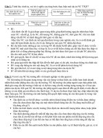 Đề cương môn Nghiên cứu thị trường Quốc tế