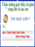 Bài Giảng Thực Hiện Tính Toán Trên Trang Tính
