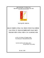 Hoàn thiện công tác phân tích tài chính tại Công ty TNHH một thành viên công viên cây xanh Hà Nội