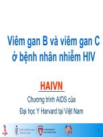 Viêm gan B và viêm gan C ở bệnh nhân nhiễm HIV