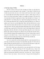 bài tập học kỳ môn Mafia