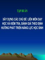 Xây Dựng Các Chủ Đề  Liên Môn Dạy Học Và Kiểm Tra, Đánh Giá Theo Định Hướng Phát Triển Năng Lực Học Sinh