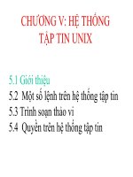 Bài giảng HỆ THỐNG TẬP TIN UNIX