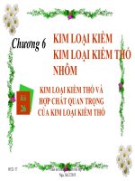 Bài Giảng Kim Loại Kiềm Thổ Và Hợp Chất Quan Trọng Của Kim Loại Kiềm Thổ