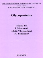 New comprehensive biochemistry vol 29 glycoproteins i 