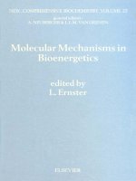 New comprehensive biochemistry vol 23 molecular mechanisms in bioenergetics 