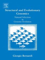 New comprehensive biochemistry vol 37 structural and evolutionary genomics 
