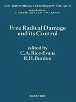 New comprehensive biochemistry vol 28 free radical damage and its control 