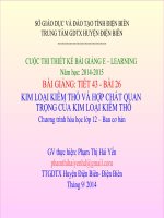 Kim Loại Kiềm Thổ Và Hợp Chất Quan Trọng Của Kim Loại Kiềm Thổ - Bài Giảng Dự Thi