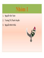 miêu tả một số loài chim đặc hữu ở Việt nam