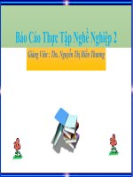 Báo cáo thực tập nghề nghiệp ngành kinh tế nông nghiệp