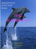 Bài báo cáo về các loại cá