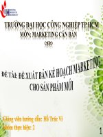 ĐỀ XUẤT KẾ HOẠCH MARKETING CHO SẢN PHẨM MỚI_ SẢN PHẨM COCA COLA ( COCA COLA CHERRY)