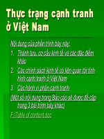 Thực trạng cạnh tranh ở Việt Nam