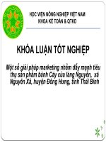 Một số giải pháp marketing nhằm đẩy mạnh tiêu thụ sản phẩm bánh cáy của làng nguyễn,  xã nguyên xá, huyện đông hưng, tỉnh thái bình 