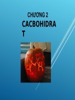 GLUCOZO day 11T2 tiet 5 ngay 5.3; 11T1 tiet 3 ngay 10.3