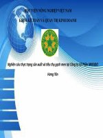 Nghiên cứu thực trạng sản xuất và tiêu thụ gạch men tại công ty cổ phần MIKADO hưng yên 