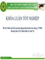 Phân tích kết quả hoạt động kinh doanh của công ty TNHH thương mại và kỹ thuật điện tử anh vũ 