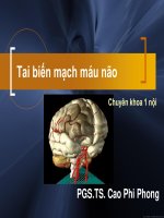 Bài giảng Tai biến mạch máu não  PGS.TS. Cao Phi Phong