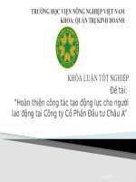 Hoàn thiện công tác tạo động lực cho người lao động tại công ty cổ phần đầu tư châu á 