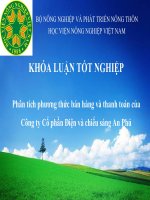 Phân tích phương thức bán hàng và thanh toán của công ty cổ phần điện và chiếu sáng an phú 