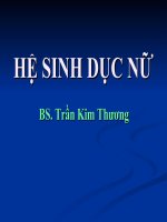 Bài giảng HỆ SINH DỤC NỮ