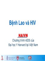 Bài giảng Bệnh Lao và HIV