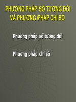 Phương Pháp Số Tương Ðối Và Phương Pháp Chỉ Số