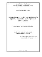Giải pháp phát triển thị trường nội địa của ngành da giầy Việt Nam đến năm 2015.