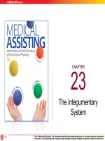 Medical assisting Administrative and clinical procedures (5e)  Chapter 23 The integumentary system