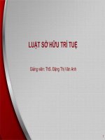 Luật sở hữu trí tuệ