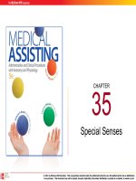 Medical assisting Administrative and clinical procedures (5e)  Chapter 35 Special senses