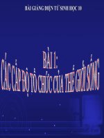 Bài Giảng Các Cấp Độ Tổ Chức Của Thế Giới Sống