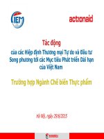 Tác động của các Hiệp định Thương mại Tự do và Đầu tư Song phương tới các Mục tiêu Phát triển Dài hạn của Việt Nam - Ngành Chế biến Thực phẩm