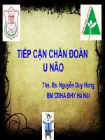 Bài giảng Tiếp cận chẩn đoán u não  ThS.BS. Nguyễn Duy Hùng