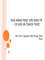 Khả Năng Phục Hồi Kinh Tế - Cơ Hội Và Thách Thức