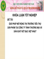 giải pháp mở rộng thị trường tiêu thụ sản phẩm tại công ty tnhh thương mại và sản xuất két bạc việt nhật 