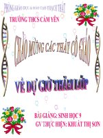 Bài Giảng BỆNH VÀ TẬT DI TRUYỀN Ở NGƯỜI