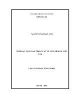 Thời hạn tạm giam theo luật tố tụng hình sự việt nam 